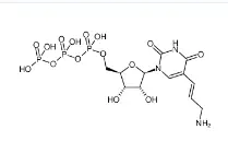 CAS號：112131-73-4，Aminoallyl-UTP，氨基烯丙基尿苷三磷酸