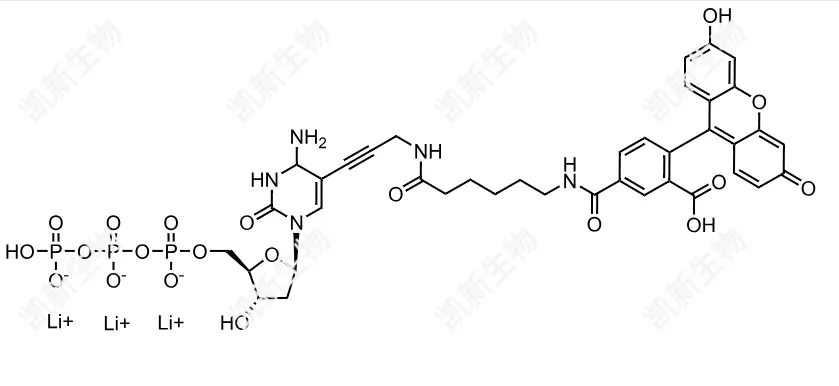 FAM-11-dCTP，熒光素標(biāo)記脫氧胞苷三磷酸：高效熒光標(biāo)記的脫氧胞苷三磷酸衍生物及其分子生物學(xué)應(yīng)用