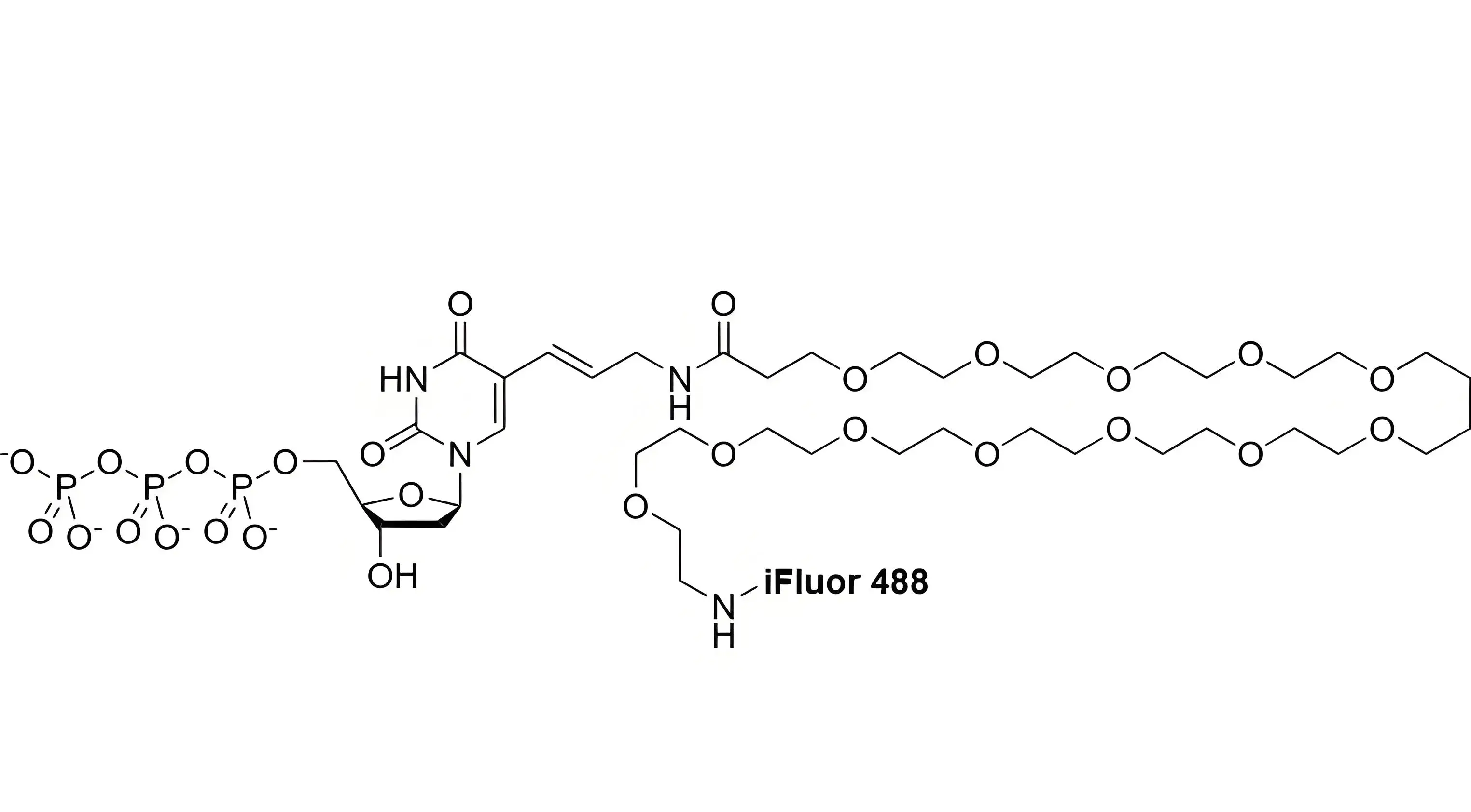 iFluor488-PEG12-dUTP，iFluor488-十二聚乙二醇-脫氧尿苷三磷酸在反應(yīng)體系中的溶解穩(wěn)定性解析