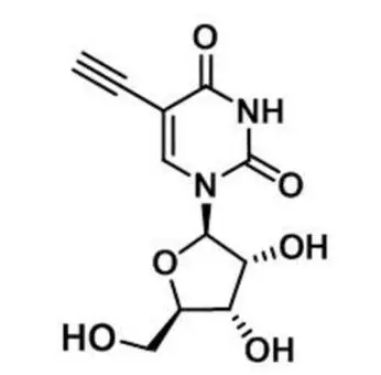 5-Ethynyluridine，5-EU，69075-42-9，核心結(jié)構(gòu)特點(diǎn)是在尿苷的5位碳上引入了一個(gè)乙炔基