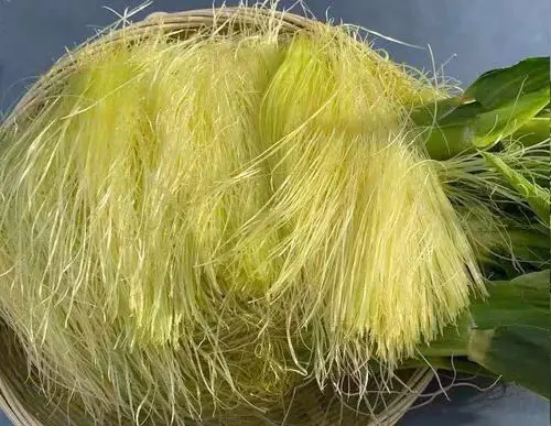 痛風(fēng)食療指南！8種低嘌呤食物建議常吃，溫和緩解不適少?gòu)?fù)發(fā)